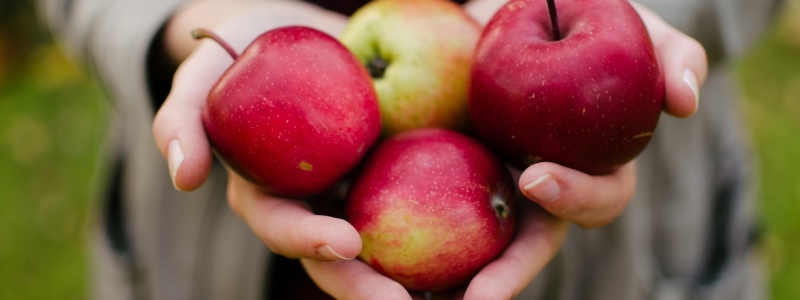 apple-farming-colorado